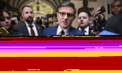 Speaker Johnson Downplays Musk’s Influence, Suggests Republicans Will Pass Budget Bill