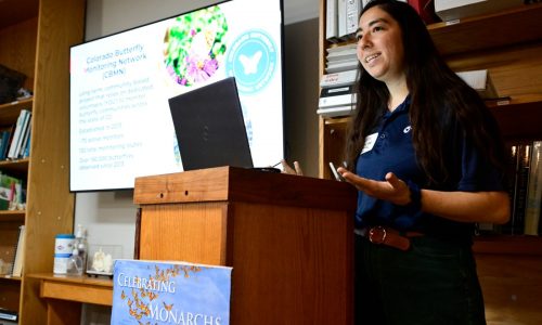 Butterflies are disappearing. Here’s how community scientists are working to save them.