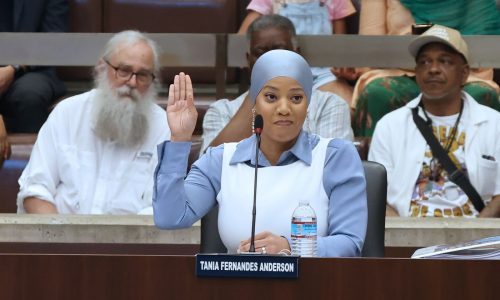 Disgraced Boston City Councilor Tania Fernandes Anderson takes victory lap in final meeting