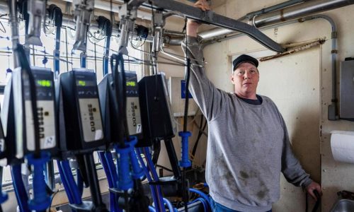 Wisconsin dairy farmer sues Trump administration claiming discrimination against white farmers