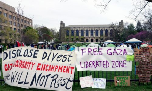 Shadi Bartsch: Committing to the Chicago Principles of free speech is the way forward for higher ed