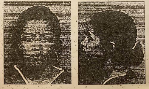 Roxbury teen girl pleads guilty to manslaughter, assault after deadly fight