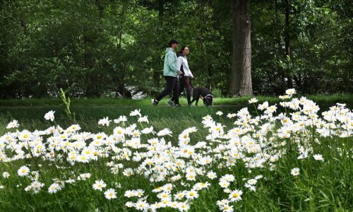 Boston Weather: First hot, humid summer days set to arrive mid-week