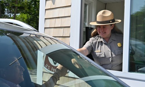Cape Cod National Seashore moving to fully cashless system, shark researchers urge beachgoers to be ‘Shark Smart’