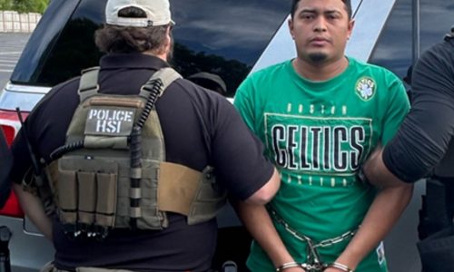 MS-13 gang member arrested by ICE in Massachusetts: Feds