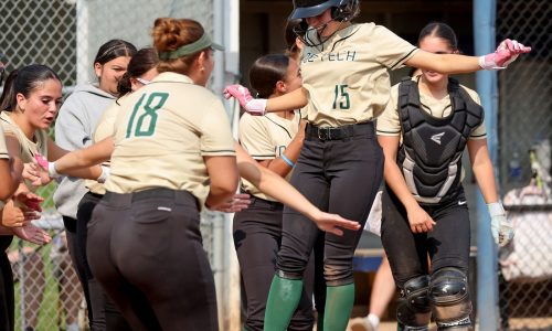 Greater New Bedford nips Foxboro on late homer by Olivia Araujo