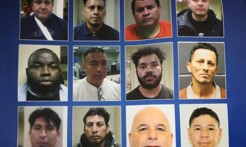 Battenfeld: Indignant Healey, Democrats blaming Trump for migrant arrests