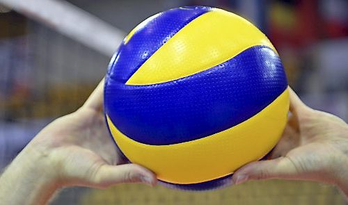 Boys state volleyball primer: A look at Eastview, North St. Paul and Central