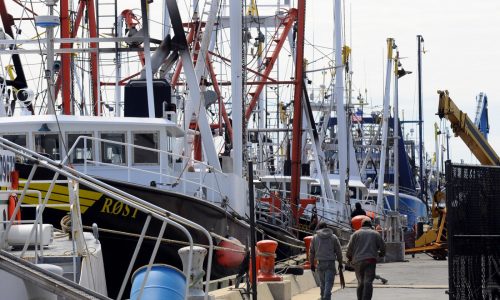 Massachusetts fishermen look to cut red tape, access waters booming with scallops