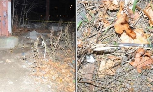 MS-13 gang members get years in prison for crimes related to 2010 Massachusetts murder