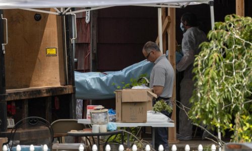 Forensic crime labs are buckling as new technology increases demand