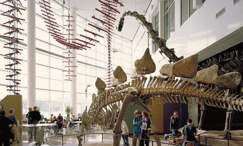 Science Museum of Minnesota lets go 43 people, downsizes by $7 million