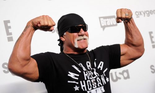 Wrestling icon Hulk Hogan is dead at 71: report
