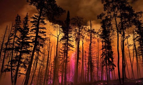 ‘Fire clouds’ over Arizona and Utah wildfires are creating their own erratic climate