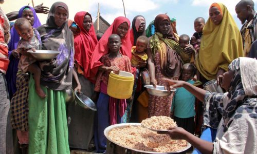 UN report reveals alarming rise in Africa’s food insecurity despite global improvements