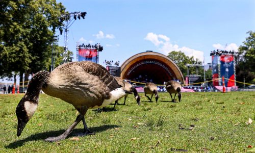 Fourth of July expected to be sunny, ‘pretty comfortable day’ in Massachusetts