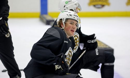 Bruins notebook: Will Zellers fitting right in