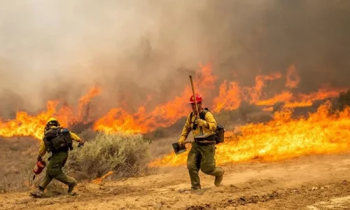 California’s Madre Fire Explodes in Size to Cover 70,800 Acres