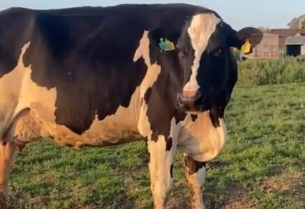 Jeremy Clarkson devastated as Diddly Squat Farm hit by TB outbreak