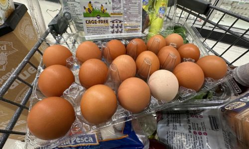 US inflation accelerated last month to highest level since February