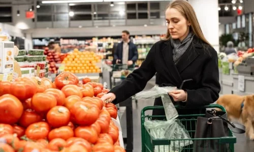 Economic Advisers Council Reports Import Prices Falling, Undercutting Tariff-Driven Inflation Fears