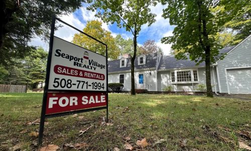 Investors snap up growing share of US homes as traditional buyers struggle to afford one