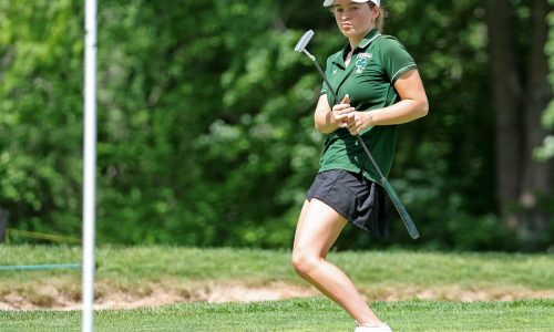 Girls Golf All-Scholastics and league All-Stars