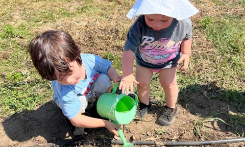 Let kids create their own garden, and other tips for instilling a love for growing things
