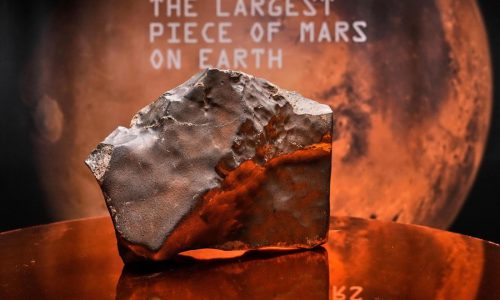 Largest piece of Mars on Earth fetches meteoric $5.3 million at New York auction