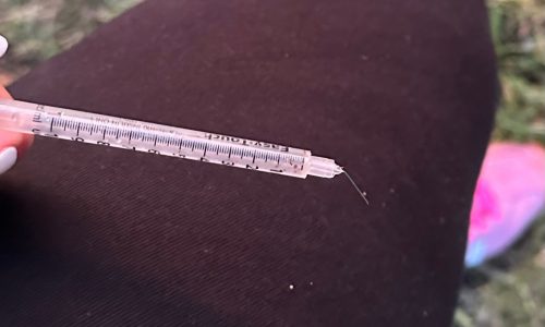 South Boston mom calls for change after 4-year-old jabbed by needle in park