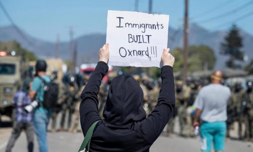 California farm raids shape up to be the biggest since January, Trump administration says