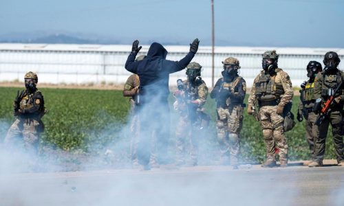 There are many illegal marijuana farms, but federal agents targeted California’s biggest legal one