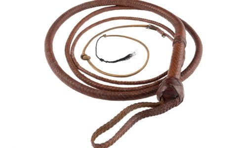 Indiana Jones whip snaps up $525,000 at auction after ‘Citizen Kane’ sled goes for $14.75 million