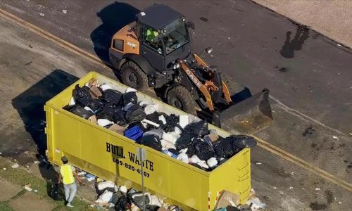Trash and tension mount in Philadelphia on Day 8 of workers strike, while some seek pop-up haulers