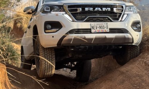 Mexico June 2025: Ram (+93.7%) highlights negative market