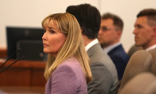 State Sen. Nicole Mitchell to resign after burglary conviction