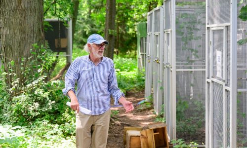 Roseville rehab opens new Washington County campus with more ‘space and quiet’ for recovering wildlife