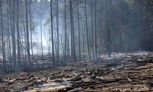 Walz authorizes state disaster assistance after St. Louis County wildfires