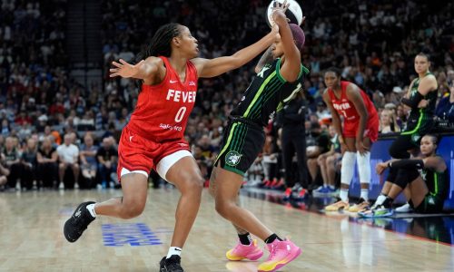 Lynx lay an egg, fall to Indiana in Commissioner’s Cup final