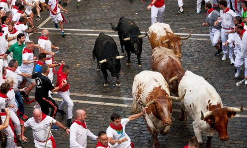Daredevils run with charging bulls at Pamplona’s famous San Fermín festival