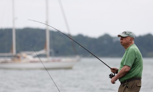 A little steamy to start, then cooler by week’s end