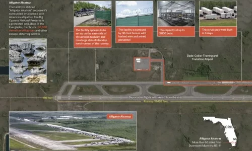What to Know About Alligator Alcatraz: The Deportation Center Surrounded by 30,000 Alligators