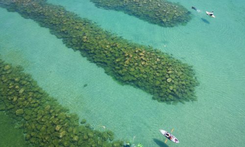 Can artificial reefs in Lake Michigan slow erosion and boost fish population? Researchers aim to find out.