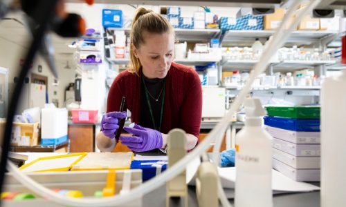 Research finding opens the door to a viral link to Parkinson’s disease