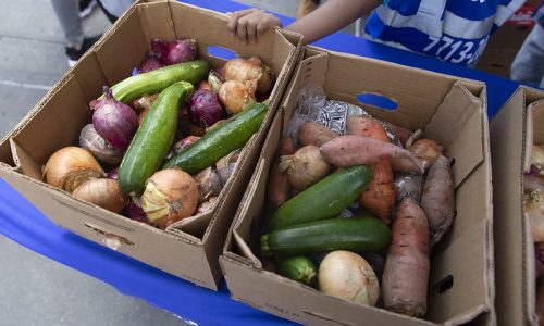 Opinion: Congress Eliminated SNAP-Ed. Here’s What it Will Mean for New Yorkers. 
