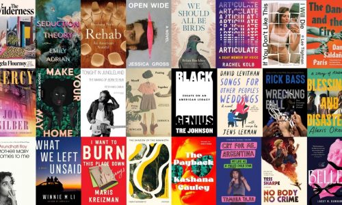 33 summer book recommendations featuring some of 2025’s best novels and more