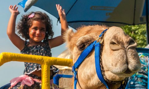 Camel rides, live music and kebabs: Middle Eastern Festival in West St. Paul this weekend