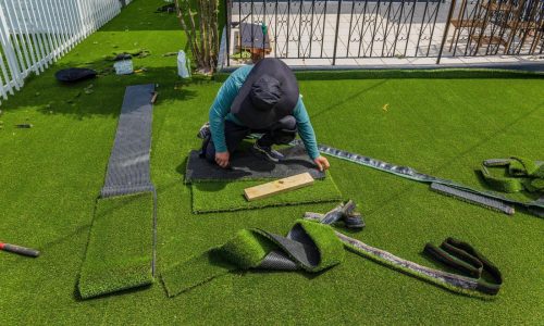 Fake grass is greener but is it worse for the environment? Florida a new testing ground
