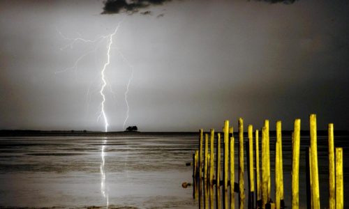 Do storms scare your dog? A new drug could help