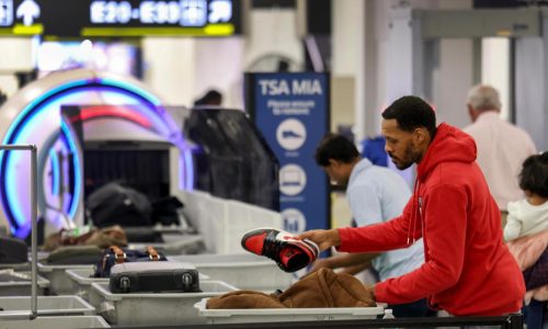 New eGates at US airports promise faster screening under Trump’s ‘vision’